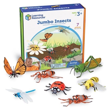 Image de Insectes géants